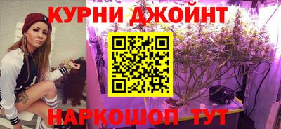 амф Донской