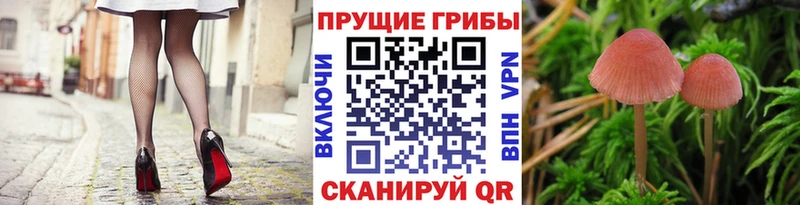 Псилоцибиновые грибы ЛСД  что такое наркотик  Муром 