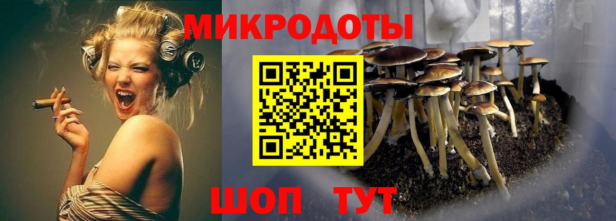 Псилоцибиновые грибы мицелий  Вход с VPN  даркнет сайт  Муром 
